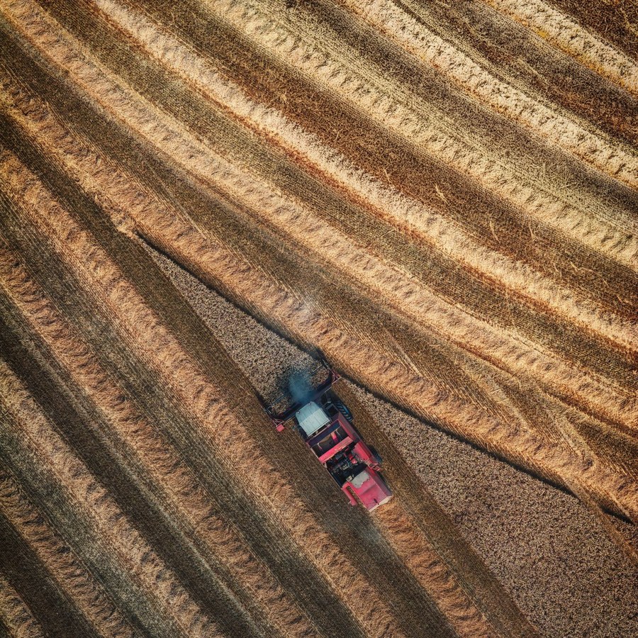 Machine working in lines across a harvested field