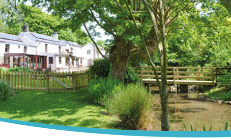 Bannsvale Farm - Cornwall